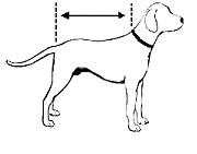 Where to Measure Your Dog