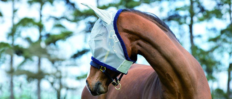 Fly Masks Fly Masks