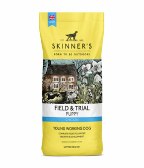 Skinners Field and Trial Puppy Skinners Field and Trial Puppy
