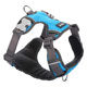 Red Dingo Padded Harness for Dogs - Turquoise