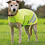 Shires EQUI-FLECTOR Dog Coat - Yellow