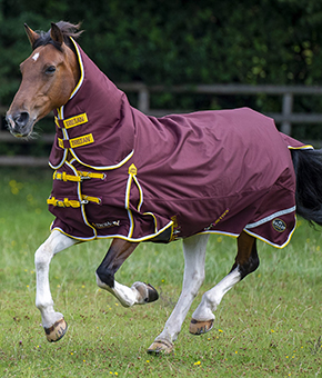 Gallop Trojan Xtra 200g Combo Turnout rug