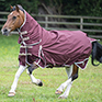 Gallop Trojan Xtra 100g Combo Turnout rug