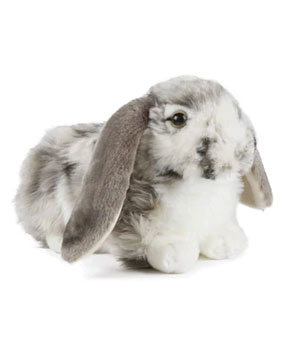 Living Nature Grey Dutch Lop Eared Rabbit 30cm