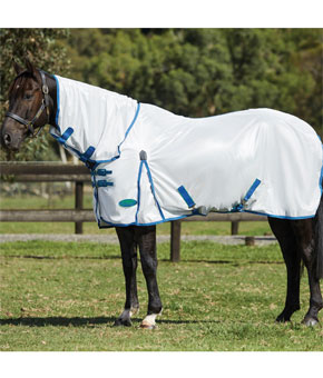 Weatherbeeta Essential Mesh II Combo Neck Fly Rug Weatherbeeta Essential Mesh II Combo Neck Fly Rug
