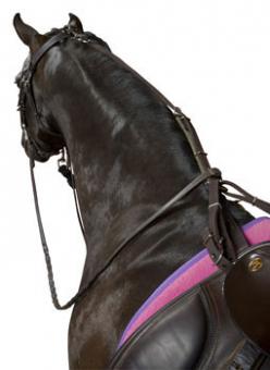 Kincade Anti-Grazing Straps Kincade Anti-Grazing Straps