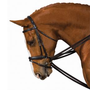Kincade Web Draw Rein Set Kincade Web Draw Rein Set