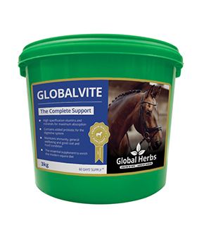 Global Herbs GlobalVite Global Herbs GlobalVite