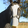 Equilibrium Field Relief Muzzle Protector