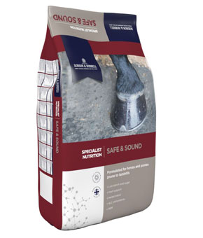 Dodson & Horrell Safe & Sound Dodson & Horrell Safe & Sound