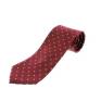 Equetech Polka Dot Showing Tie