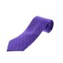 Equetech Polka Dot Showing Tie