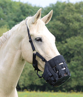 Shires Comfort Grazing Muzzle Shires Comfort Grazing Muzzle