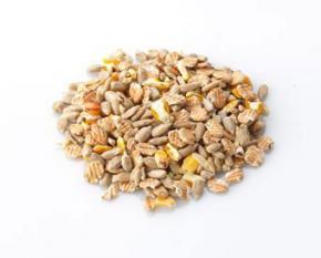 Brinvale Nice N Clean Wild Bird Food Brinvale Nice N Clean Wild Bird Food
