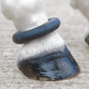 Sausage Boot Sausage Boot