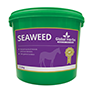 Global Herbs Seaweed