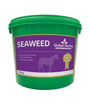 Global Herbs Seaweed Global Herbs Seaweed