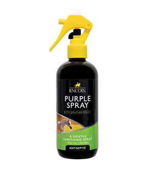 Lincoln Purple Spray Lincoln Purple Spray