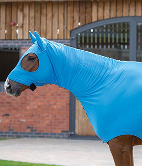 Shires Stretch Hood With Full Face