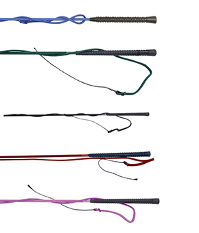 Dublin Lunge Whip Dublin Lunge Whip