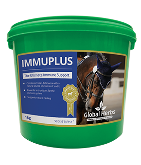 Global Herbs Immuplus Global Herbs Immuplus