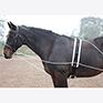 Shires Lunging Aid