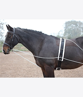 Shires Lunging Aid Shires Lunging Aid