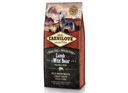 Carnilove Adult - Lamb & Wild Boar