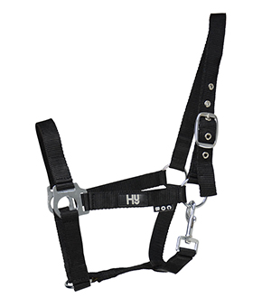Hy Economy Plus Headcollar - Black Hy Economy Plus Headcollar - Black