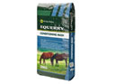 Equerry Conditioning Mash