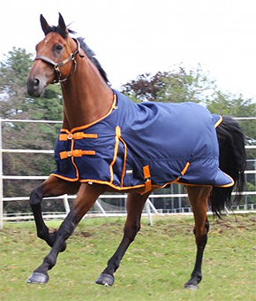 Gallop Trojan 100g Standard Neck Gallop Trojan 100g Standard Neck