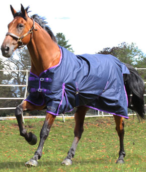 Gallop Trojan Standard Neck Lite Turnout Gallop Trojan Standard Neck Lite Turnout