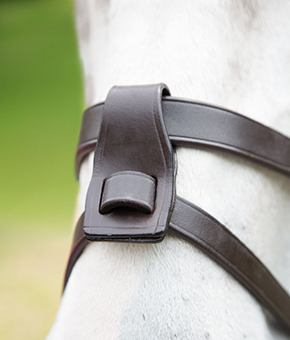 Shires Blenheim Flash Attachment Shires Blenheim Flash Attachment