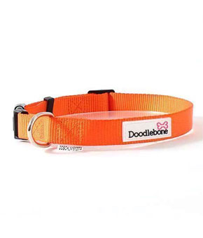 Doodblebone Bold Range Collar - Orange Doodblebone Bold Range Collar - Orange