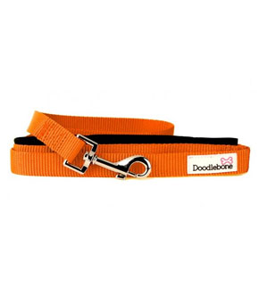 Doodlebone Bold Range Padded Lead - Orange Doodlebone Bold Range Padded Lead - Orange