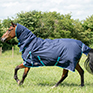 Gallop Trojan Combo 350g Turnout Rug