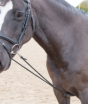 Shires Soft Lunge Aid Shires Soft Lunge Aid