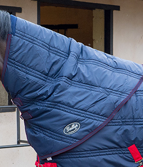 Gallop Defender Stable Rug Neck Cover Gallop Defender Stable Rug Neck Cover