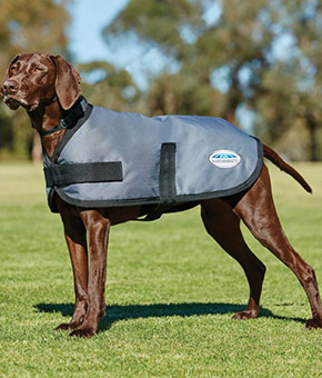 Weatherbeeta ComFiTec Classic Parka Dog Coat Weatherbeeta ComFiTec Classic Parka Dog Coat