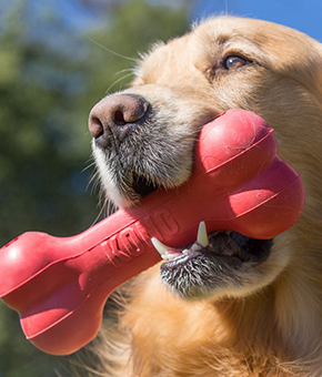 KONG Goodie Bone KONG Goodie Bone