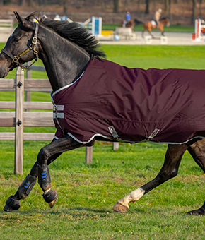 Horseware Amigo Hero Ripstop 600 Lite Turnout Horseware Amigo Hero Ripstop 600 Lite Turnout