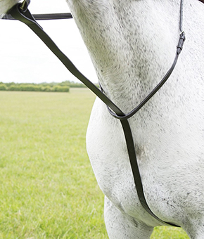 Shires Blenheim Standing Martingale Shires Blenheim Standing Martingale