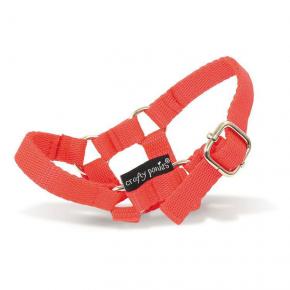 Craftu Ponies Headcollar - Red