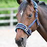 Shires Fleece Lined Lunge Cavesson