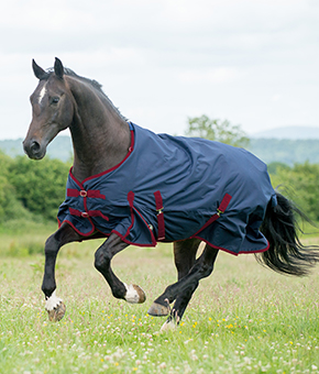 Gallop Trojan 50g Standard Neck Turnout Rug Gallop Trojan 50g Standard Neck Turnout Rug