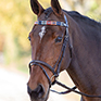Shires Blenheim Leather Polo Browband