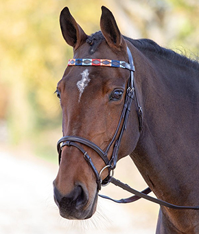 Shires Blenheim Leather Polo Browband Shires Blenheim Leather Polo Browband