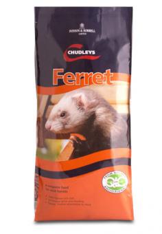 Chudleys Ferret Chudleys Ferret