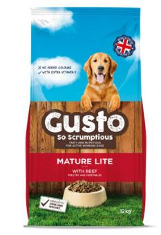 Gusto So Scrumptious Gusto So Scrumptious