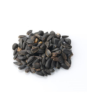 Brinvale Black Sunflower Seeds Brinvale Black Sunflower Seeds